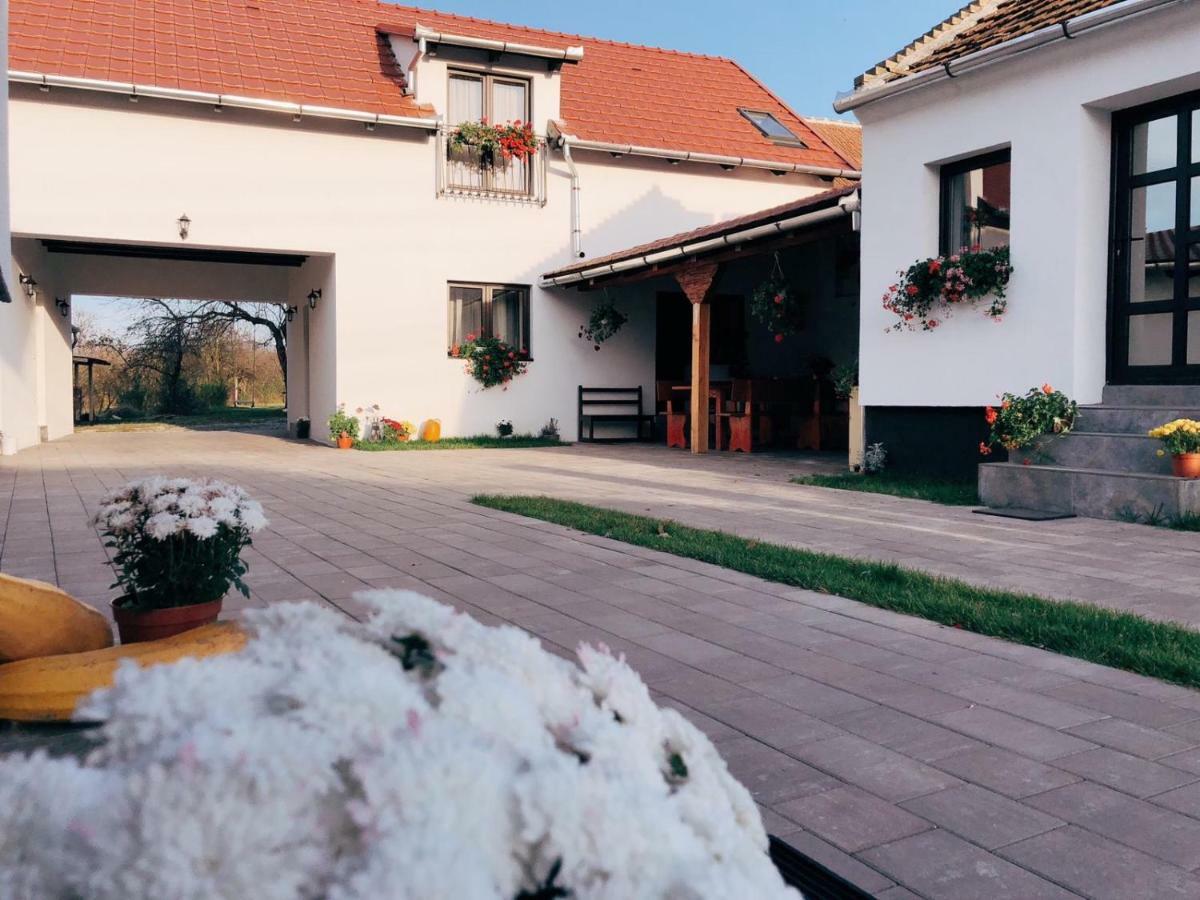 Casa Badea Riu Alb Exterior foto